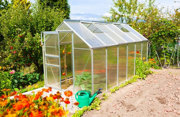 Tout ce que vous devez savoir sur les serres pour votre jardin